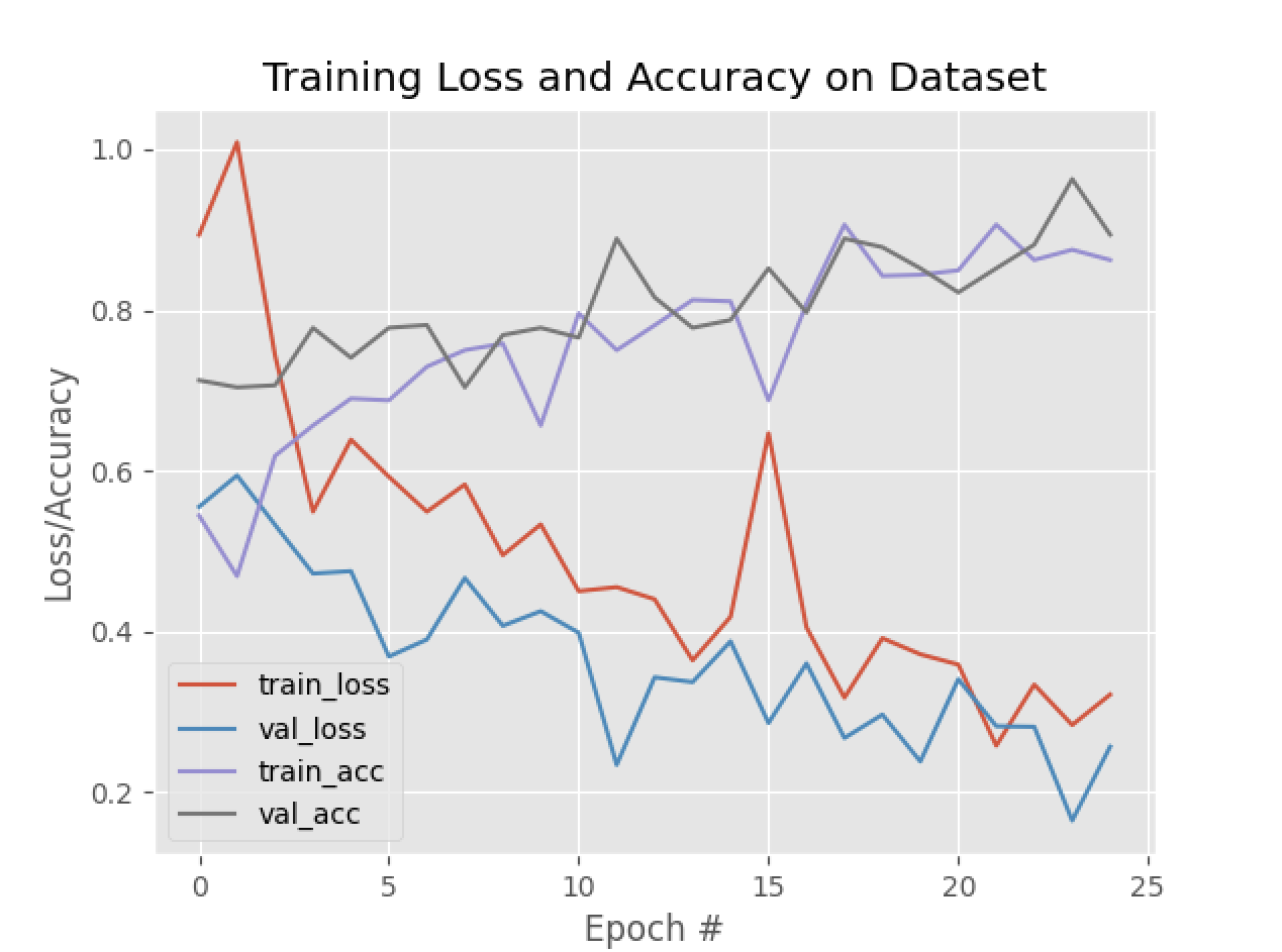 training_plot